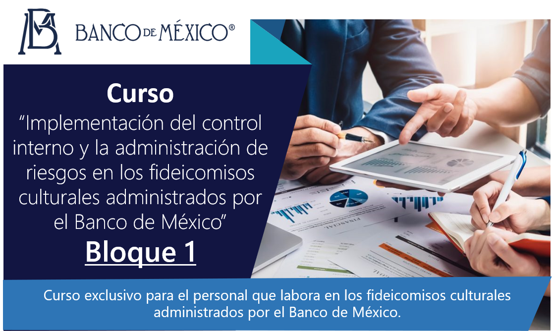 Implementación del control interno y la administración de riesgos en las organizaciones 