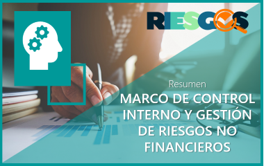 Marco de control interno y gestión de riesgos no financieros